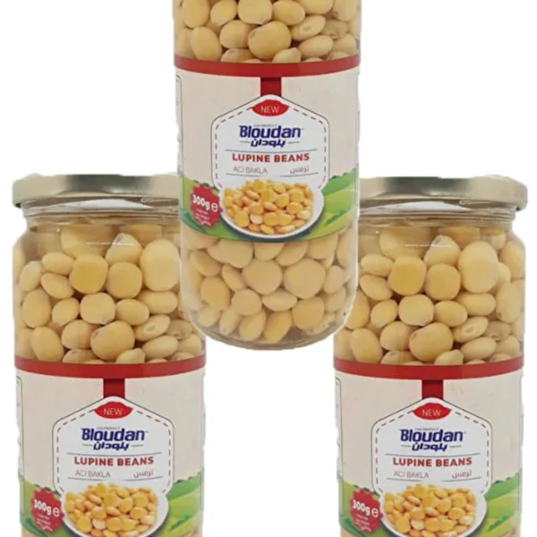 BLOUDAN Hazır Termiye 300 gr X3 ADET