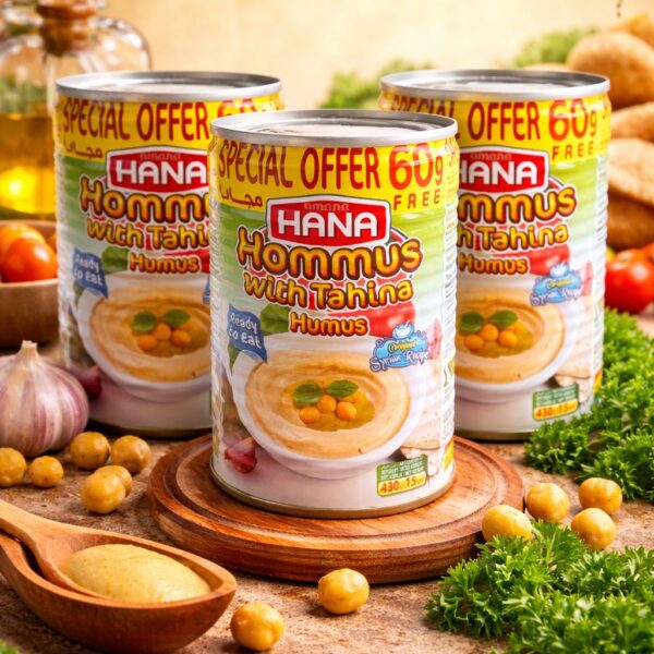 HANA HUMUS (NOHUT EZMESİ) - HOMMUS 400 GR X3 ADET