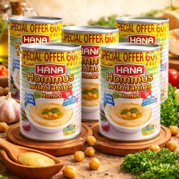 HANA HUMUS (NOHUT EZMESİ) - HOMMUS 400 GR X5 ADET
