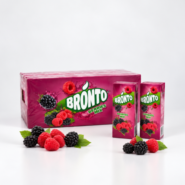 Bronto Dut Aromalı İçecek 200 ml x 27 Adet – Koli