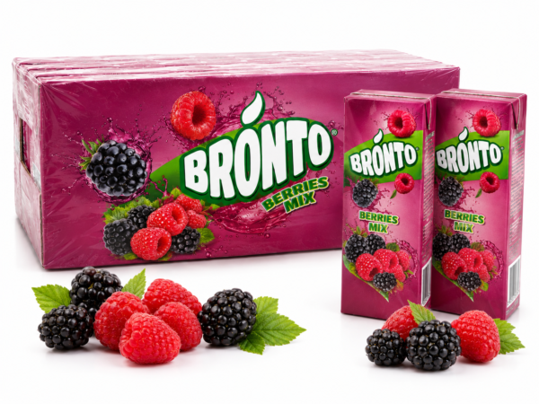 Bronto Dut Aromalı İçecek 200 ml x 27 Adet – Koli